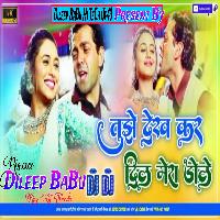 Tujhe Dekh Ke Dil Mera Dole Old Is Gold Hindi Love Song Hard Vibration Bass Mix Dileep BaBu Hi TeCh Gonda 